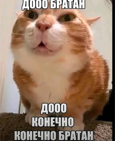 izobrazenie.png
