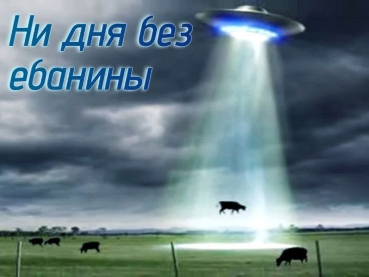 https://forum-cdn.exbo.net//2026-09-11/1789095732-926865-2df192982e5daf49912ad63bafc8c664.jpg