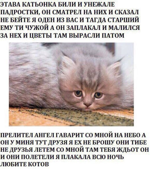 {TEXT?}
