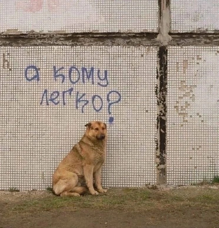 {TEXT?}
