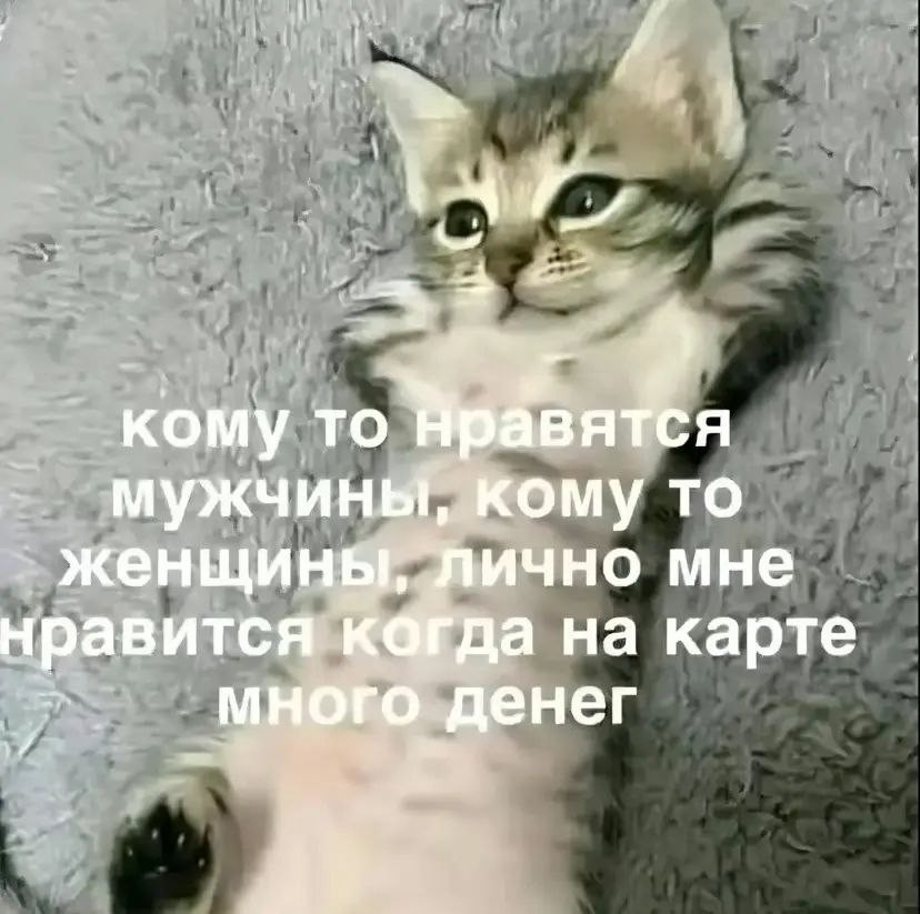 {TEXT?}