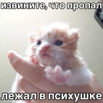 {TEXT?}