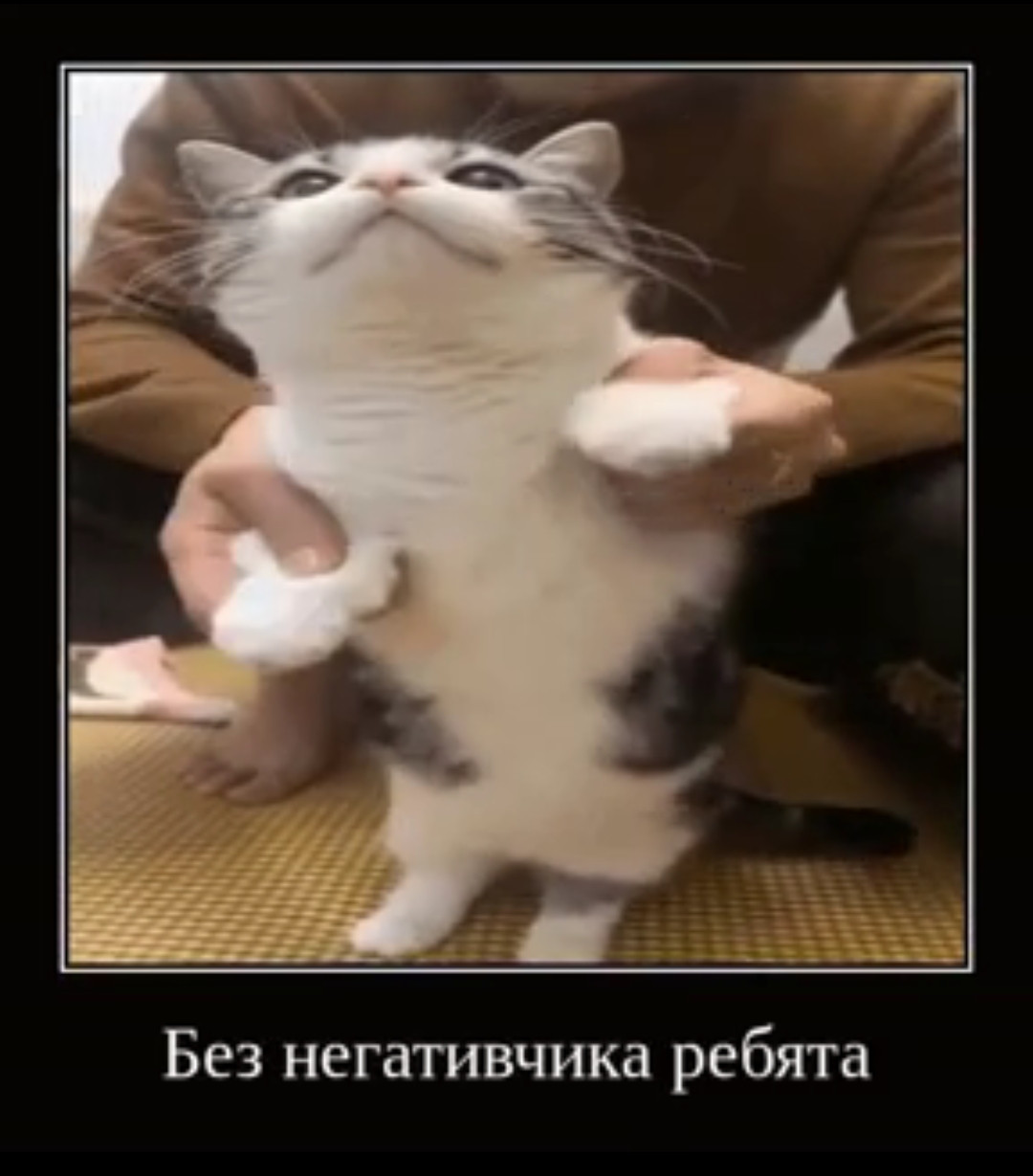 {TEXT?}