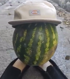{TEXT?}