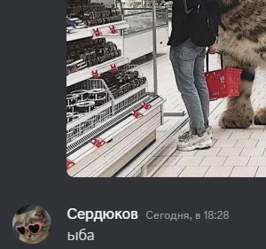 {TEXT?}