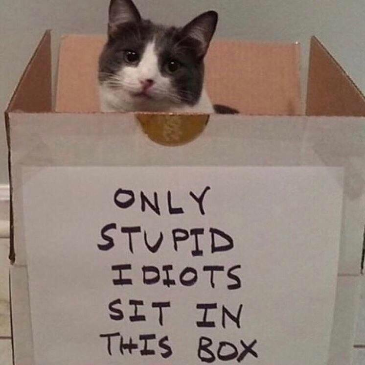 {TEXT?}