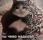 {TEXT?}