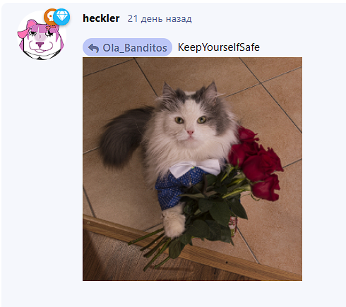 {TEXT?}
