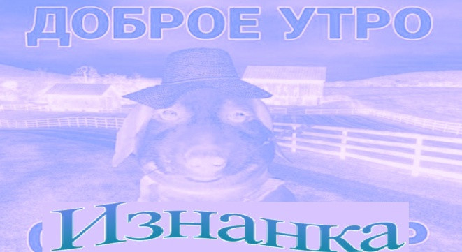 {TEXT?}