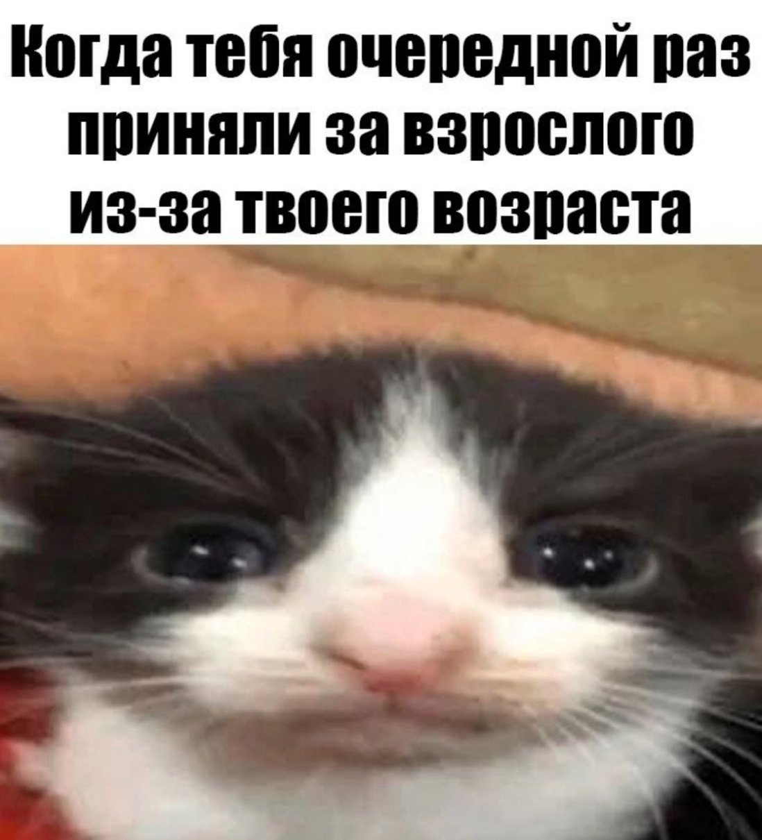 {TEXT?}