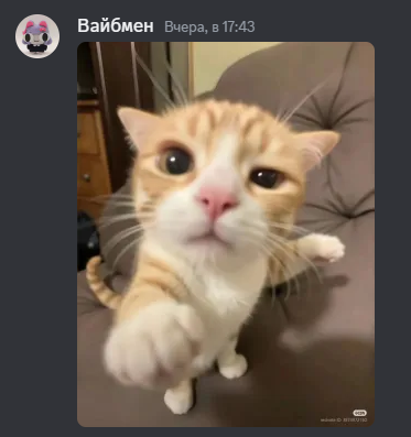 {TEXT?}