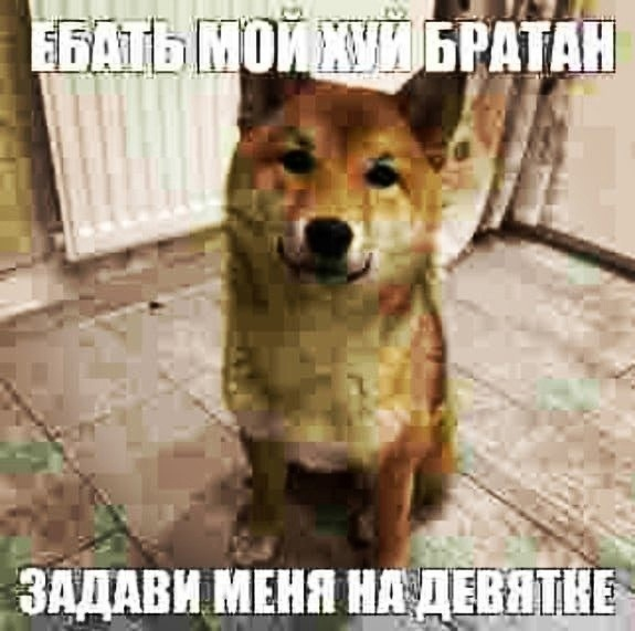 {TEXT?}