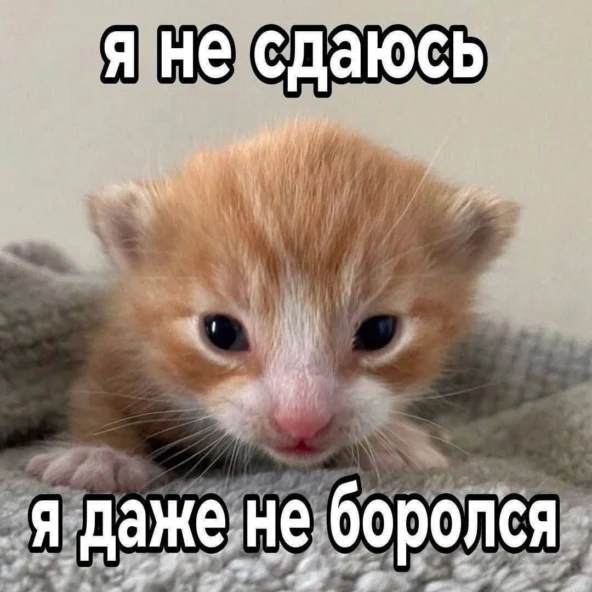{TEXT?}