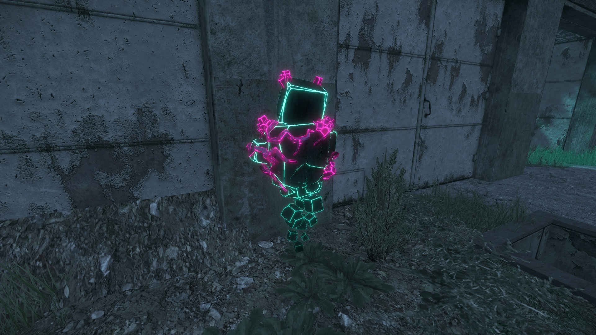 {TEXT?}