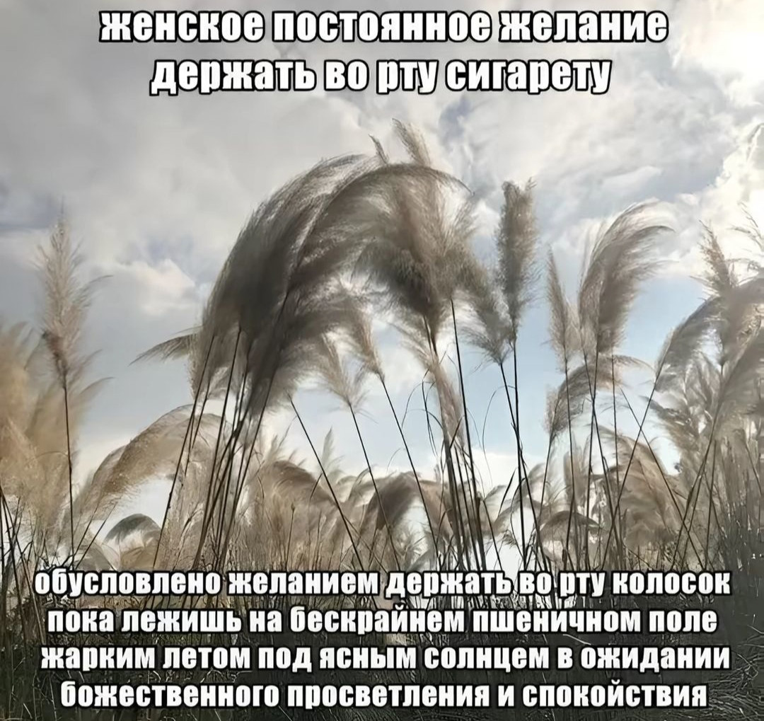 {TEXT?}