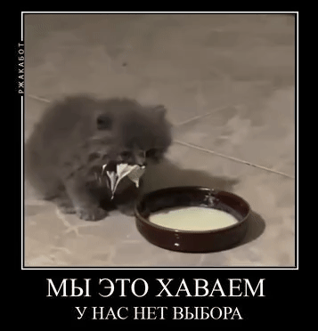 {TEXT?}