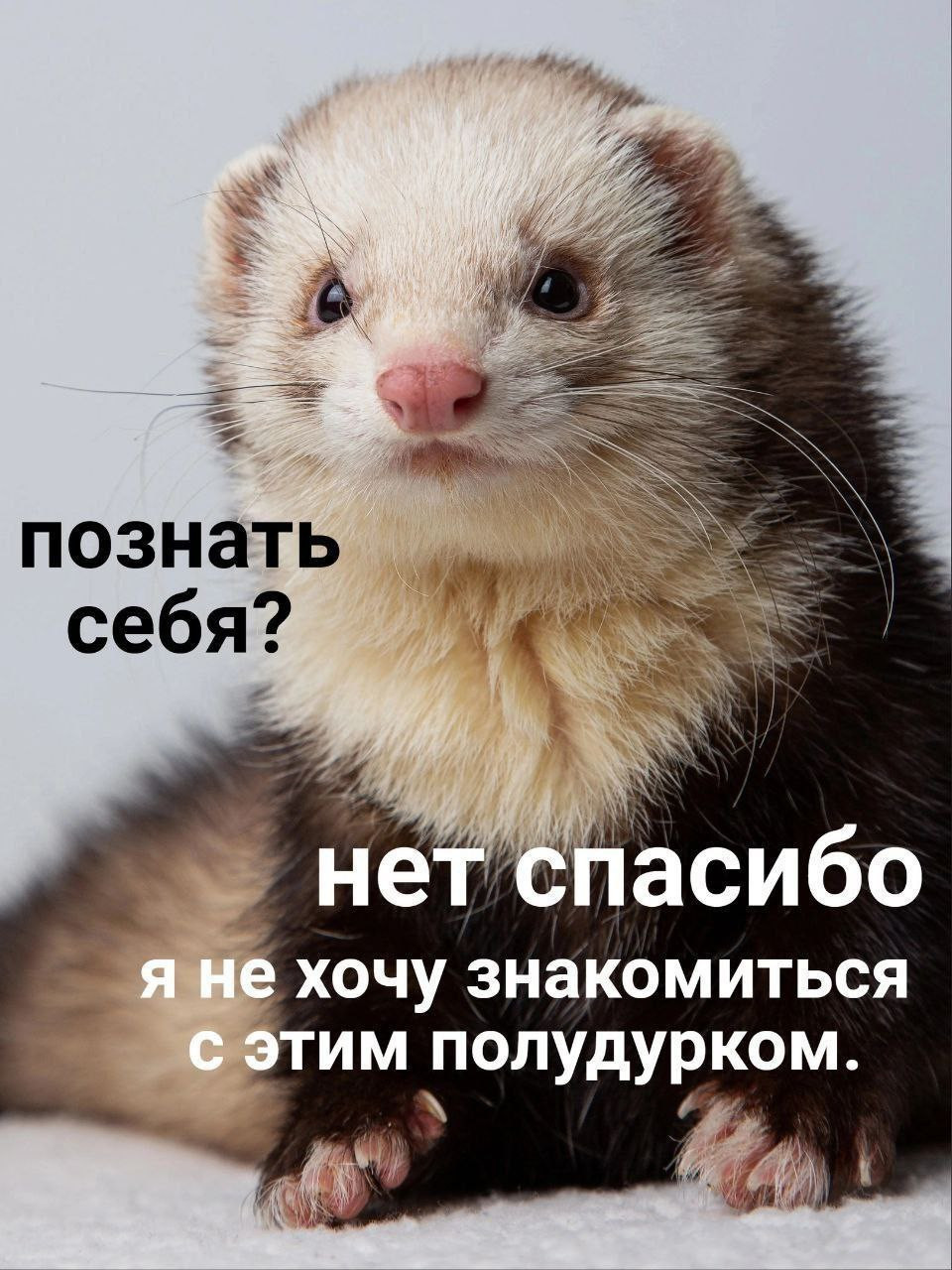 {TEXT?}