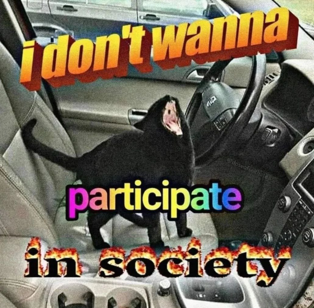 {TEXT?}