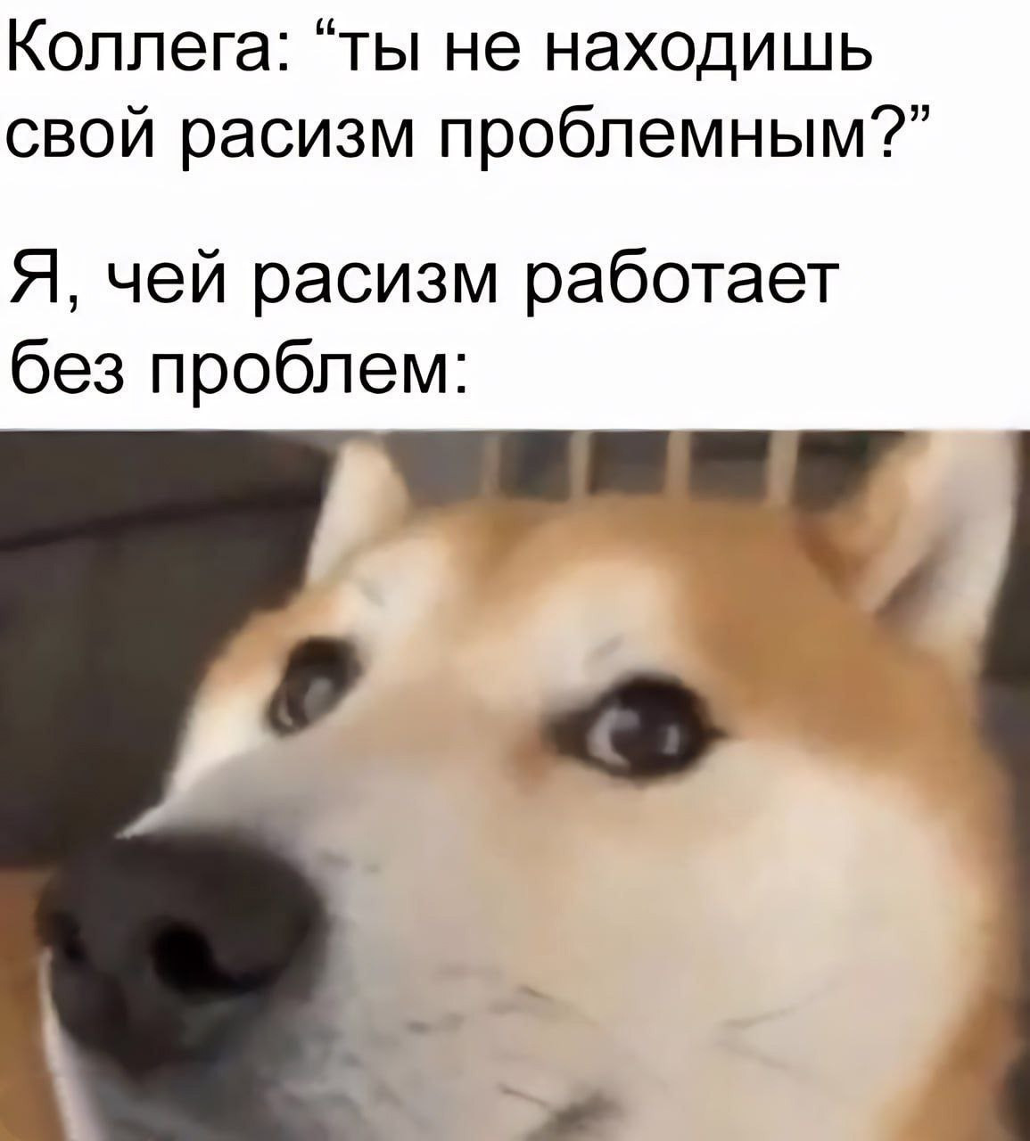 {TEXT?}