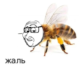 {TEXT?}