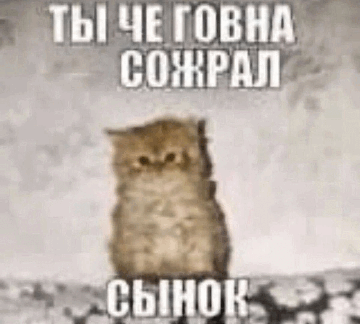 {TEXT?}
