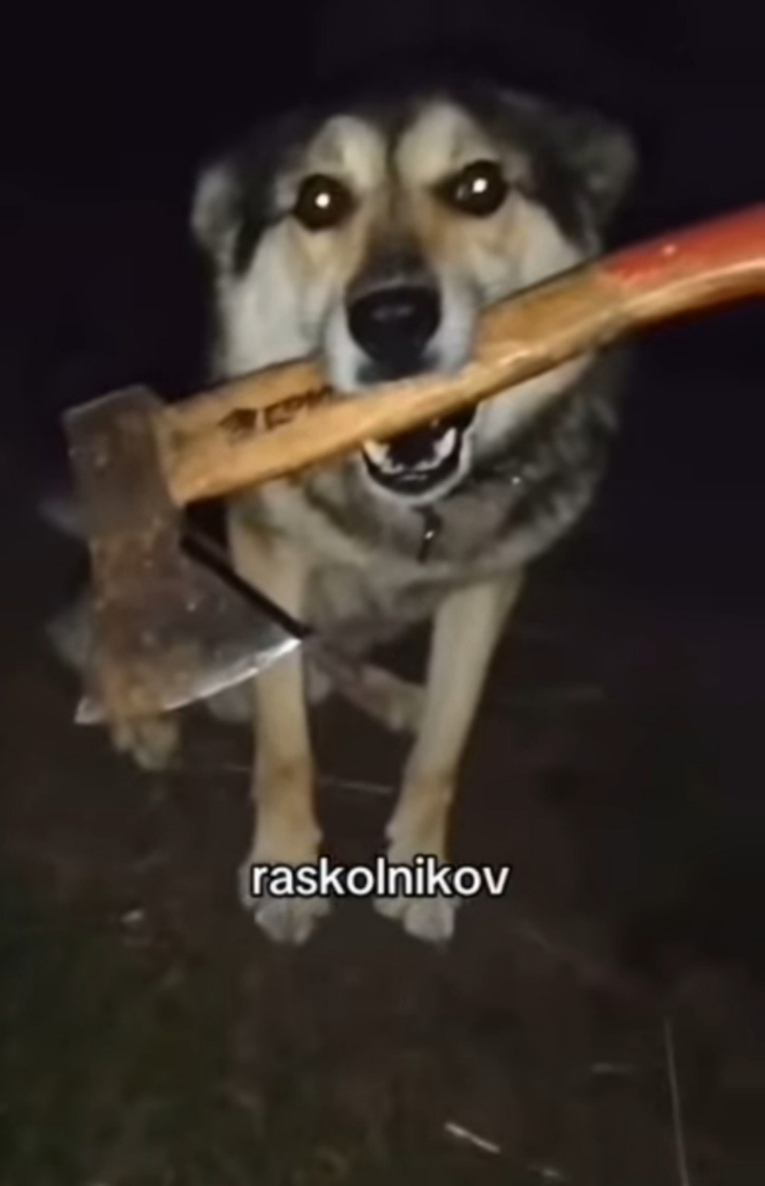 {TEXT?}