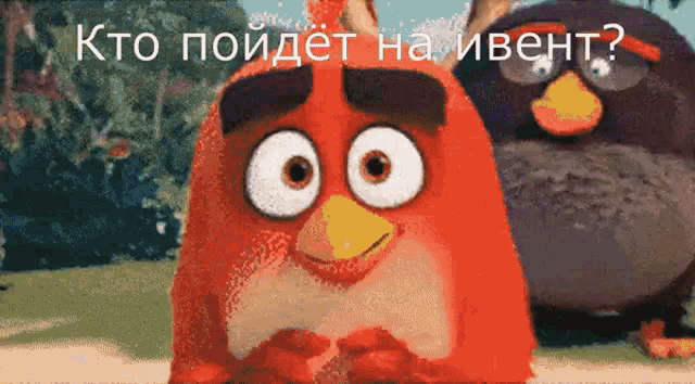 {TEXT?}