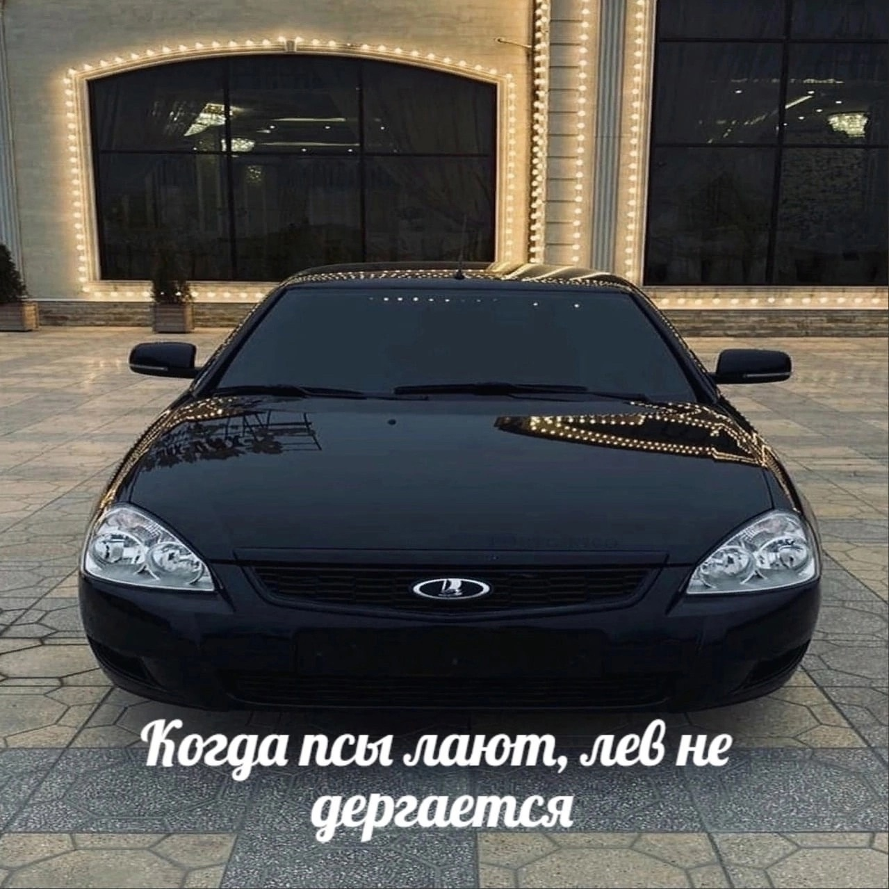 {TEXT?}