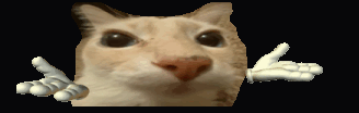{TEXT?}