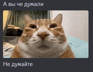 {TEXT?}