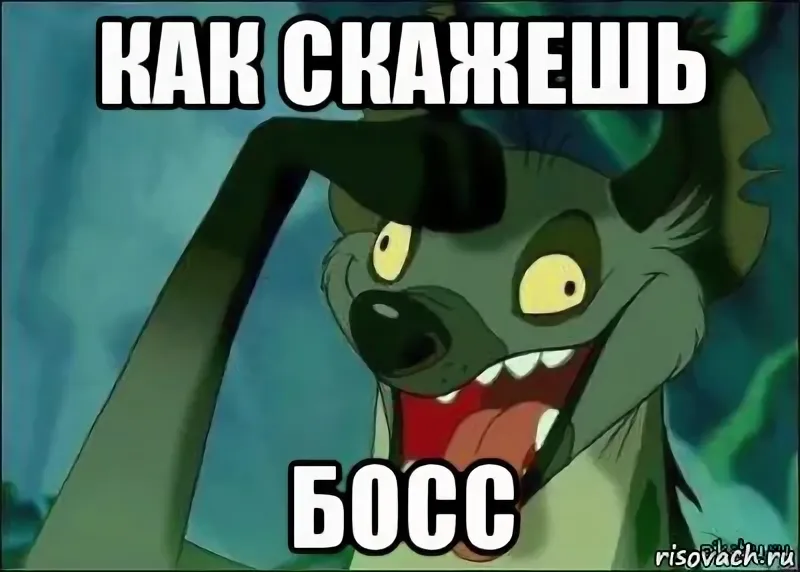 {TEXT?}