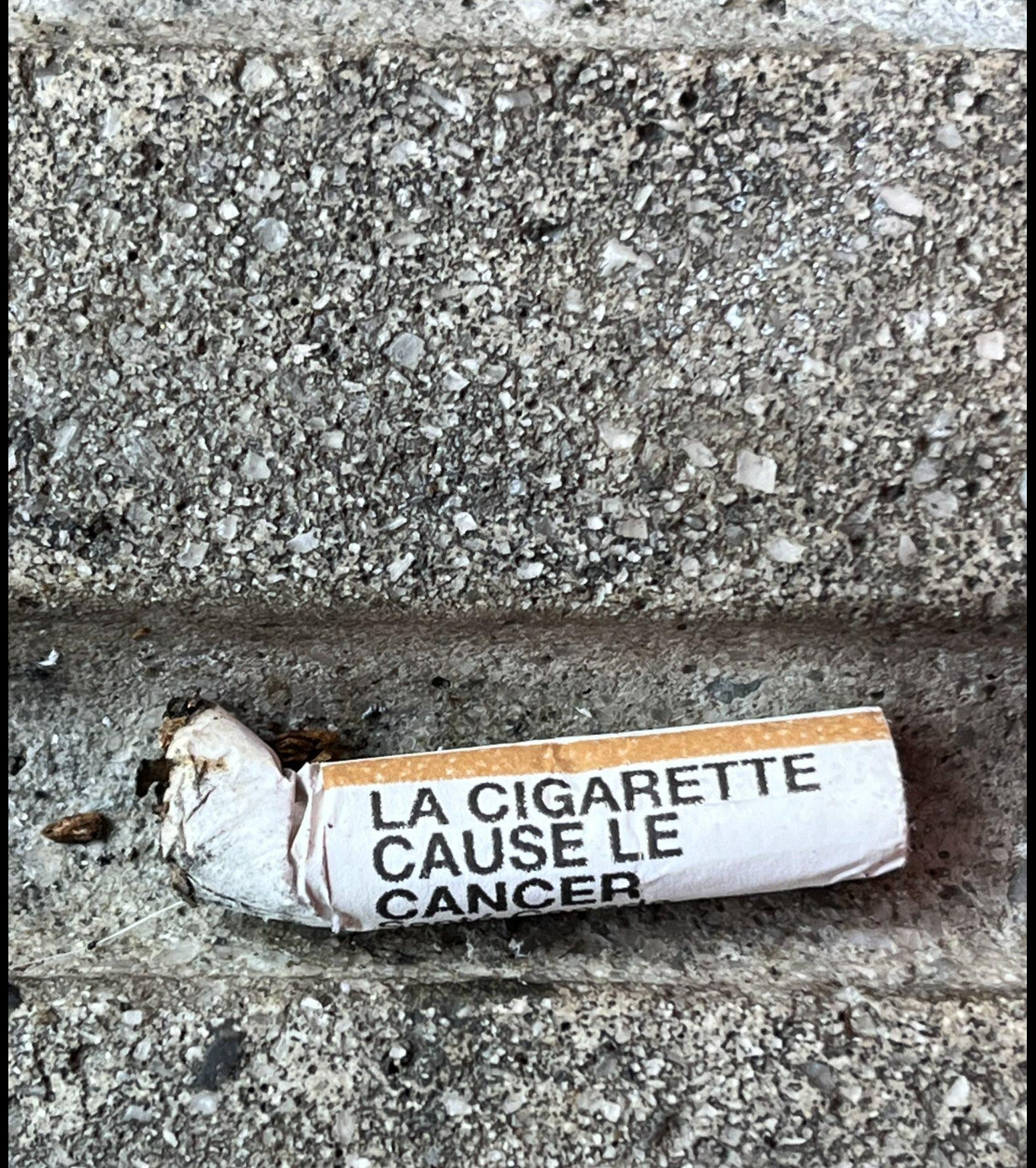 {TEXT?}