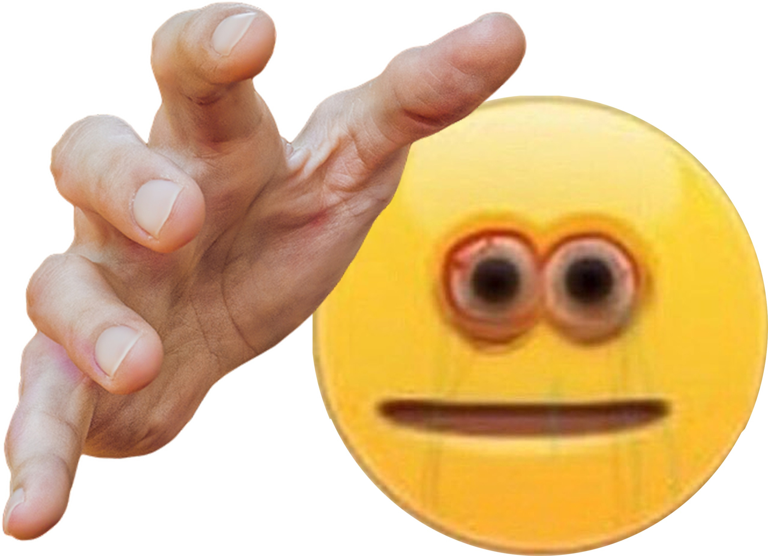 {TEXT?}
