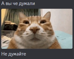 {TEXT?}
