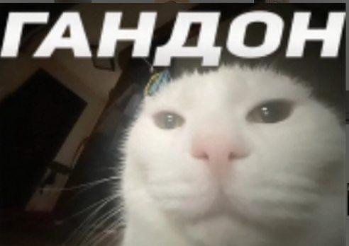 {TEXT?}
