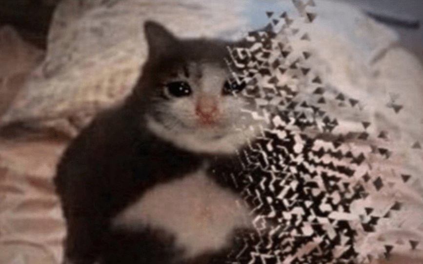 {TEXT?}