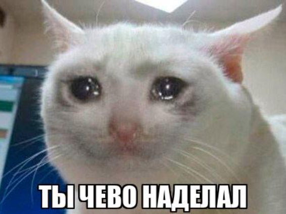 {TEXT?}