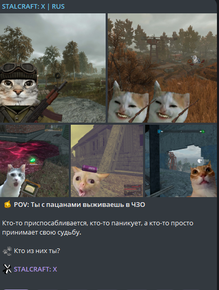 {TEXT?}