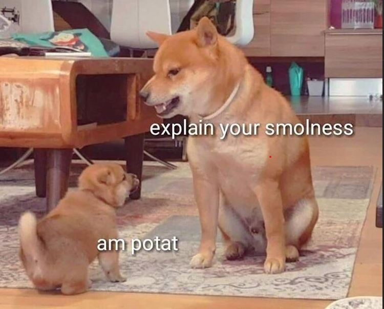 {TEXT?}