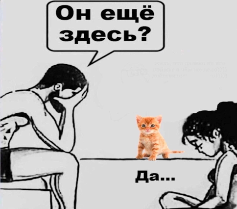 {TEXT?}