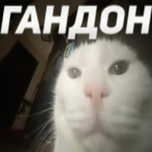 {TEXT?}