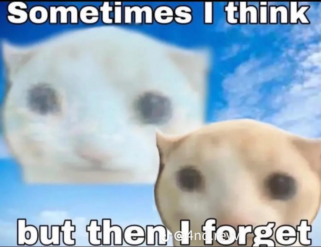 {TEXT?}
