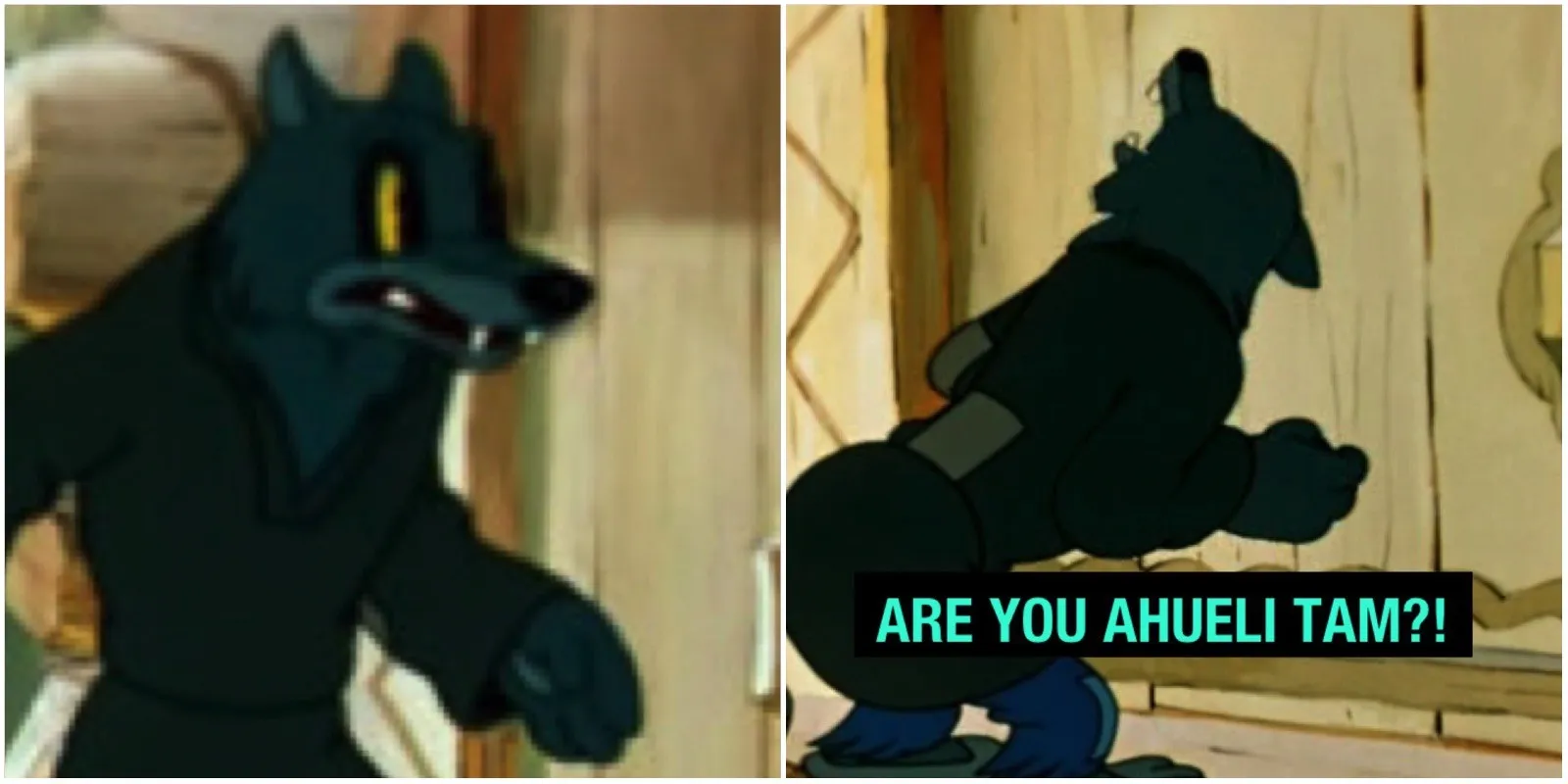 {TEXT?}