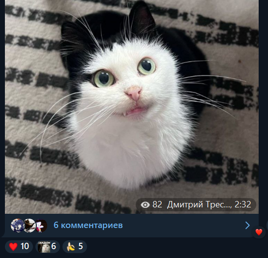 {TEXT?}