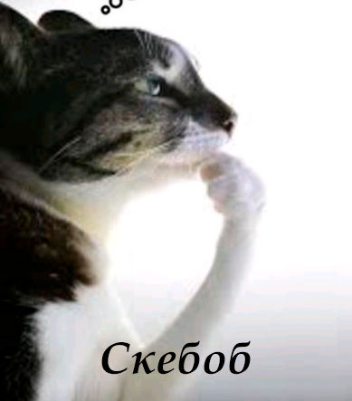{TEXT?}