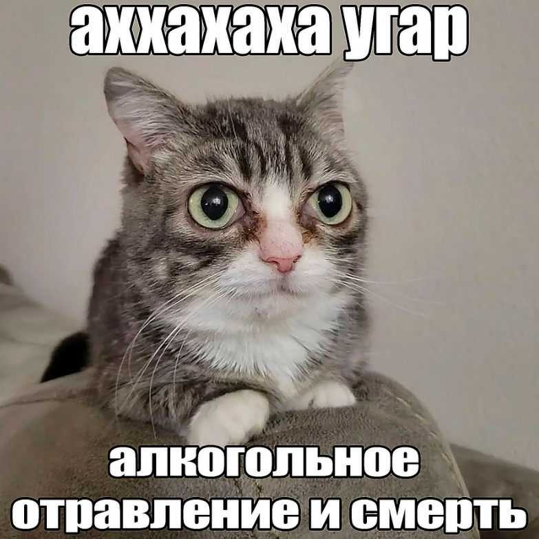 {TEXT?}