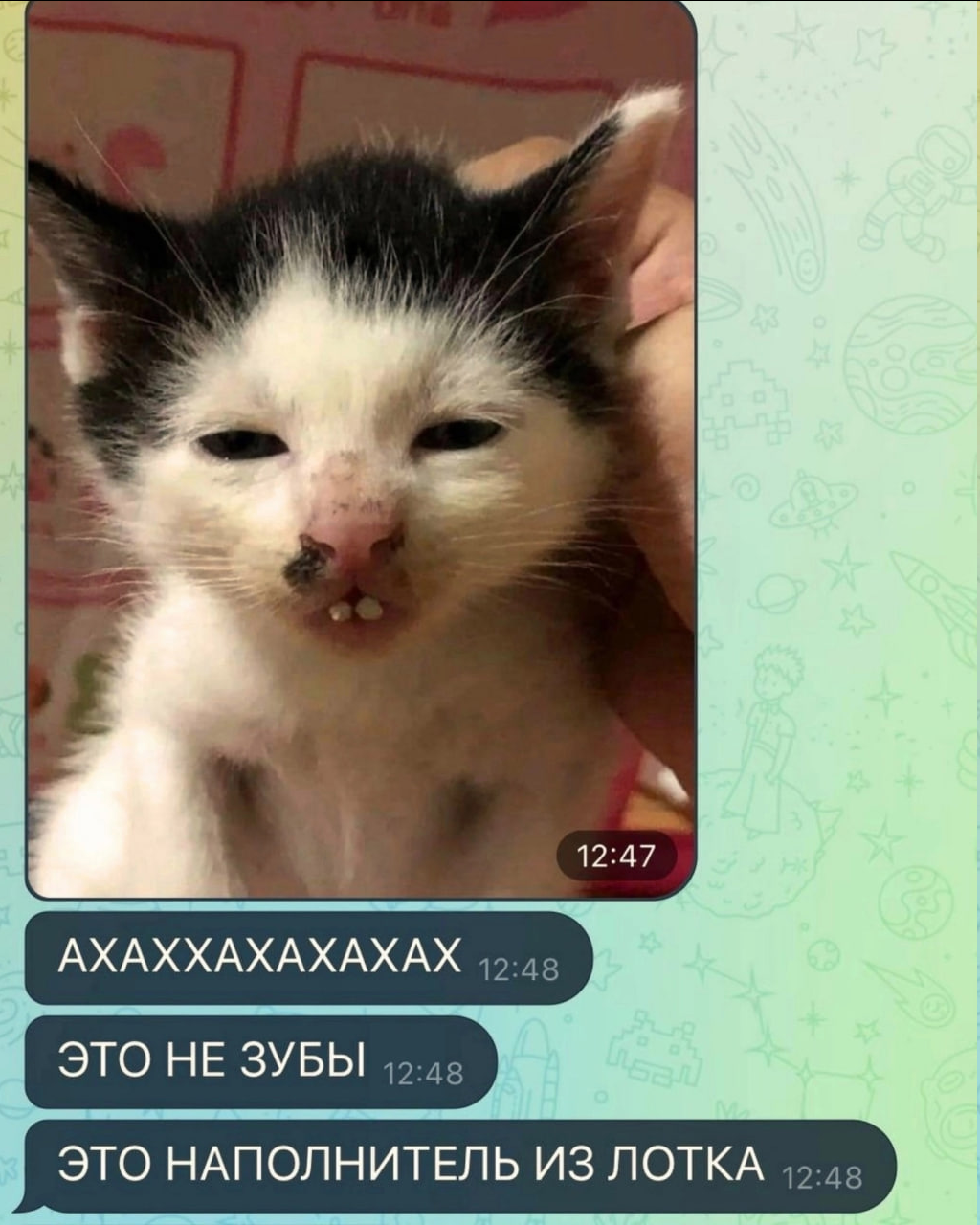 {TEXT?}
