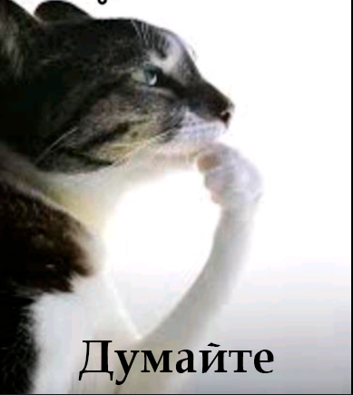 {TEXT?}