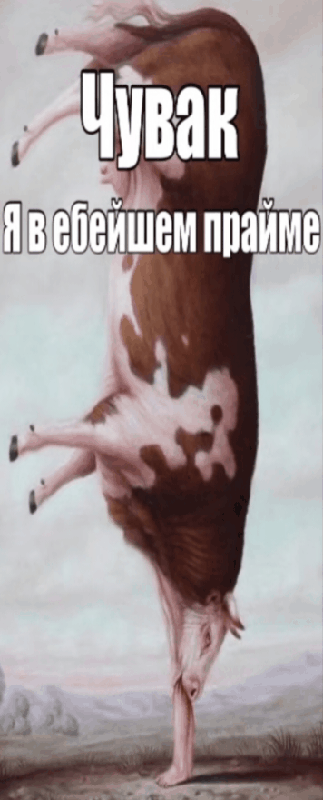 {TEXT?}