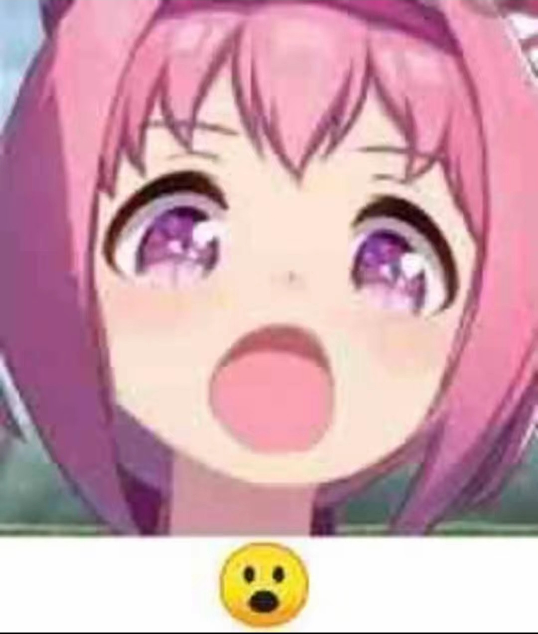 {TEXT?}